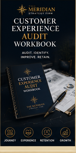 CUSTOMER EXPERIENCE AUDIT WORKBOOK $97